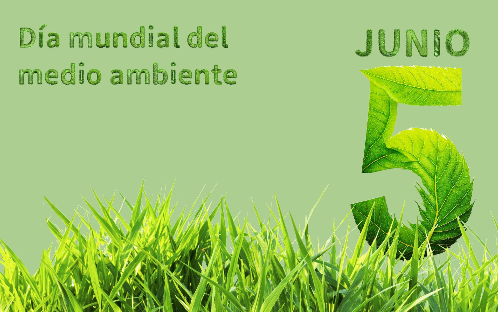 Green poster for World Environment Day, featuring a leaf-shaped number 5 and grass, celebrating nature.