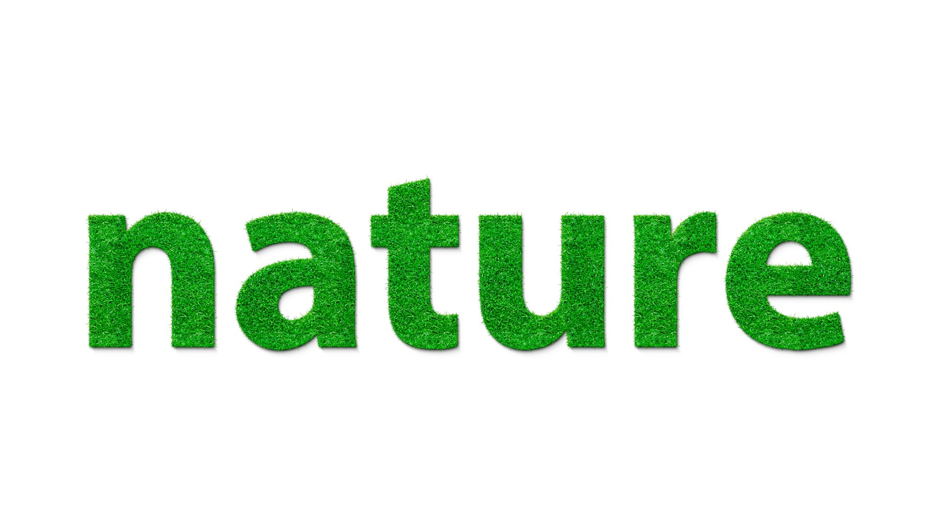Nature: Embracing the Green Essence of Life
